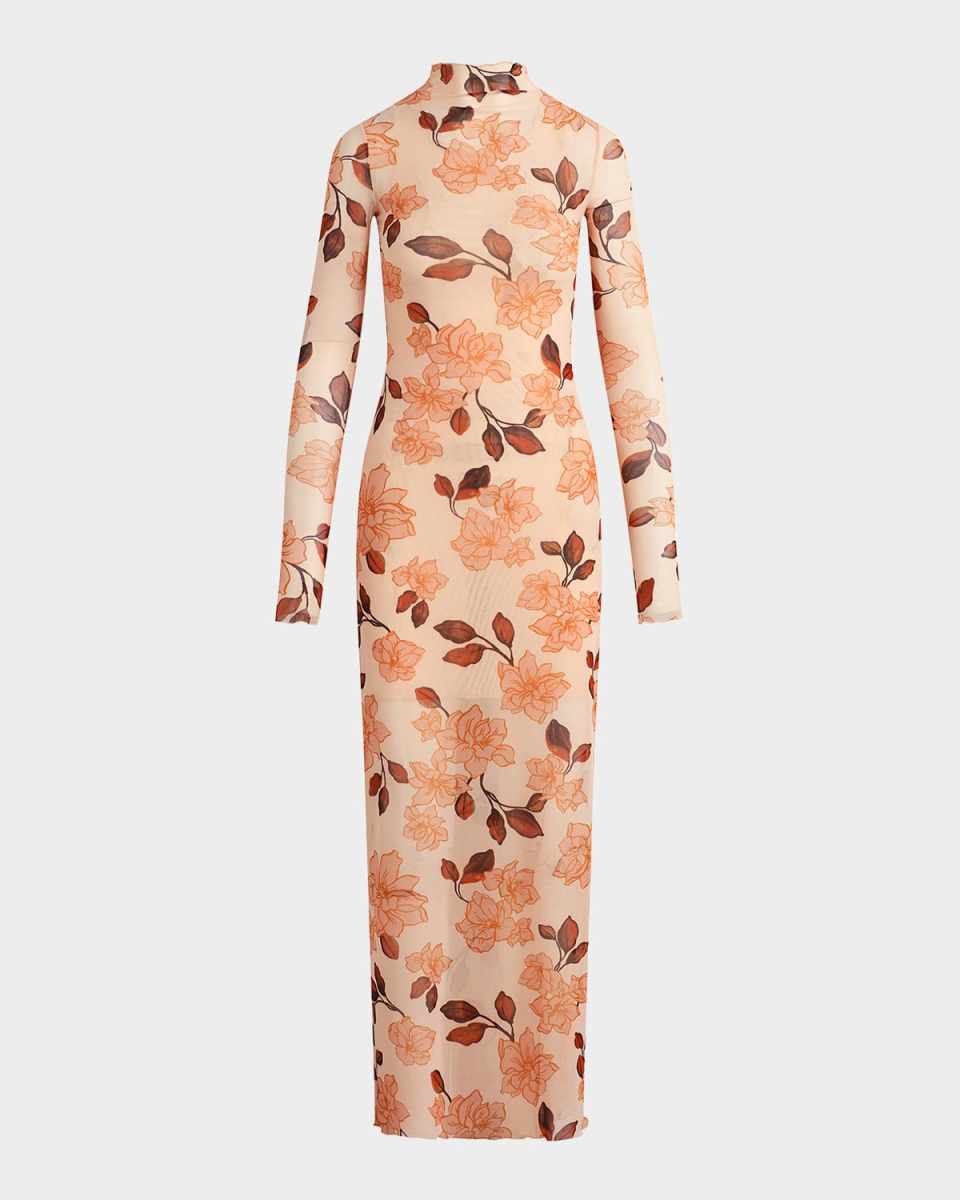 The Sheer Fantasy Maxi Dress